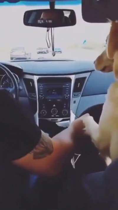 Bros sit in the front, side chicks in the back