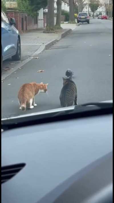 They both pounded together