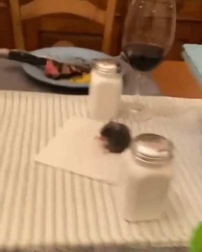 Look at this fat rat! Enjoying a banquet fit for a country! Making his servants tend to his every gluttinous need!