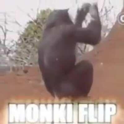 monkey flip