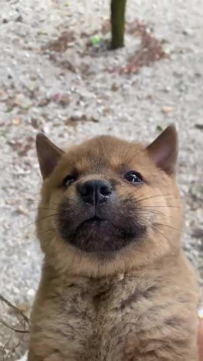 picked him up like a minecraft block