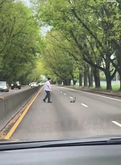 Mama and her baby’s get escorted to westmoreland park—southbound on McLoughlin