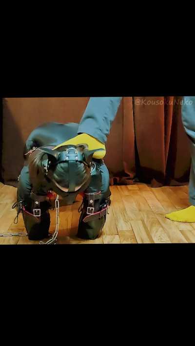 A quick peek at puppy training in progress