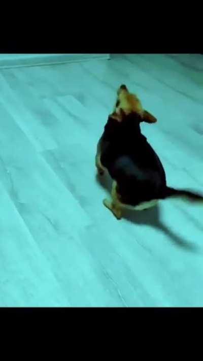 Me in the party 😂