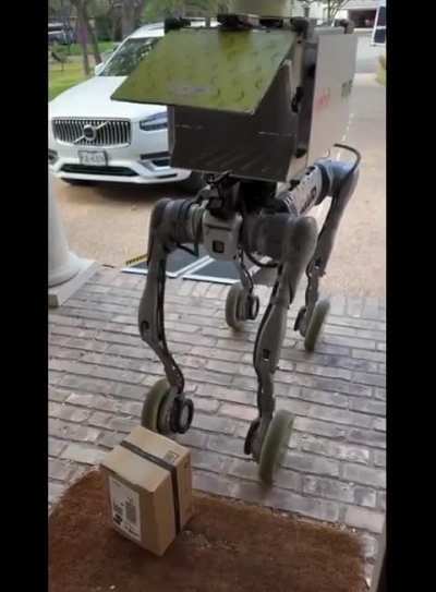 Robot delivering a package