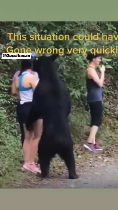 A bear grabbing some cake!
