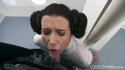 Another great Star Wars Parody w/Leia Organa (DL link in comments)
