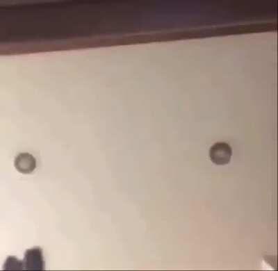 I’m mad 😡 Bruce stream rn pizza box nose ass nigga