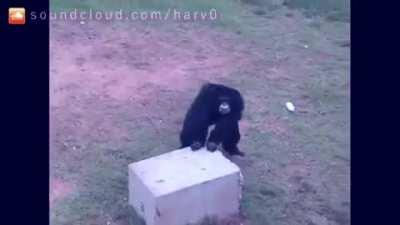 Dear Libcenter rise for the national anthem of m̵̳̥̃̓ô̸̫̝̘̣̻̟̳̘̲̯̒̎̈́̇̏n̷̢̯̥͉͎͓͎̣̻̺̭̼͈̙̮̆̅̍̃̿̂͌̈́̔͂̋͐͆̀͝k̵̛̙͛̐̀͋e̴̲̥͎̿