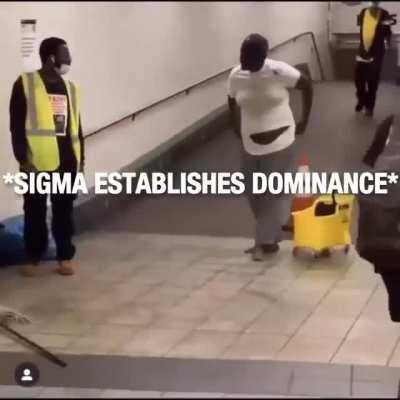 Sigma Displaying his Dominance