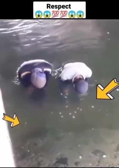 Respect 💯💯 🕋🤲 ☝️☝️