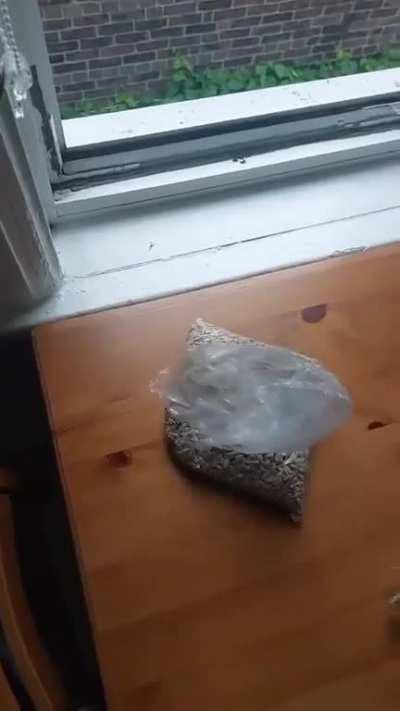 They better get to work.