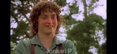 Frodo drunk off his own wine