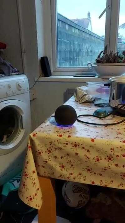 Re post with sound this time