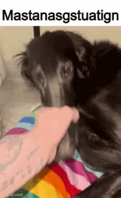 japaopslkign mai penaifhaga