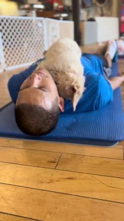 I don't know what puppy yoga is, but I'm in
