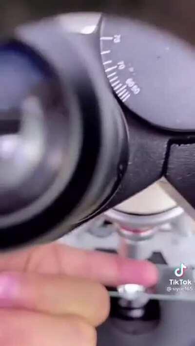 Thanks, I hate fingers