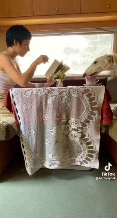 This woman and her dog