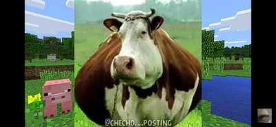 Jajajaj me kage de la risa weon