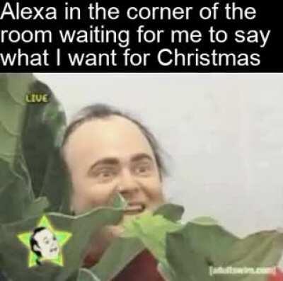 All the apps on my phone too