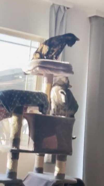 Sunday morning slaps