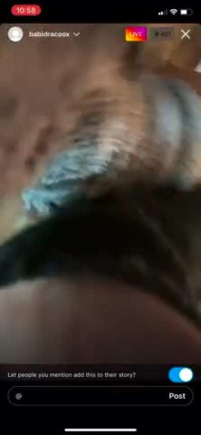 Babidraco live clip
