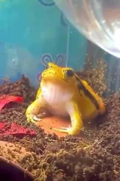 Little homie feeling the power