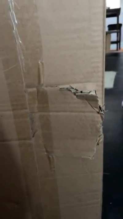 I was just trying to make a sale and did not deserve this.