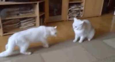 little mop animal referee.