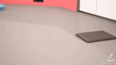 joeojejoeefouwfeonowejfwefojwoejfqpojjow