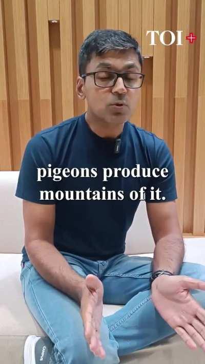 Stop feeding piegons