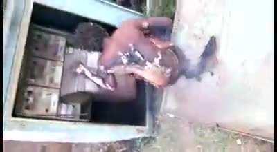 Copper thief smokin like a cigarette after trying to steal some of the precious metal from a fully amped electrical box.