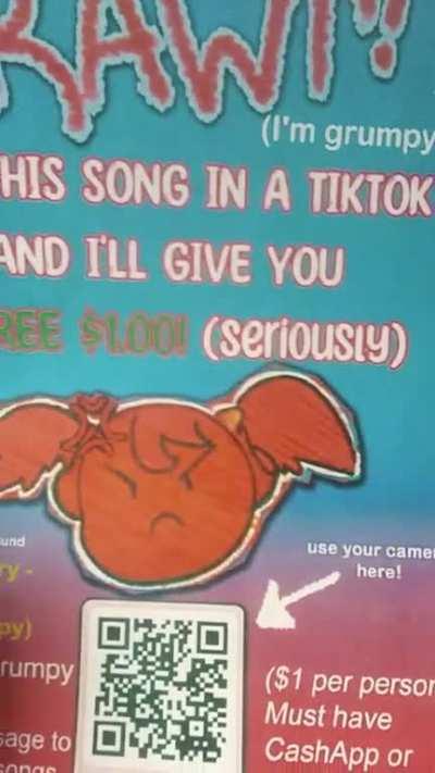 my get rich quick tiktok tactic