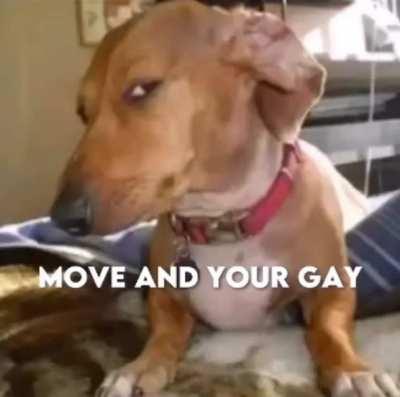 I did not expect that