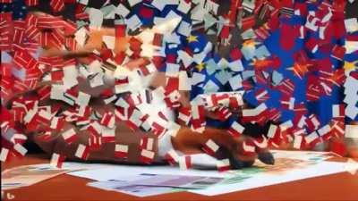 Der Fuchs braucht eure Hilfe