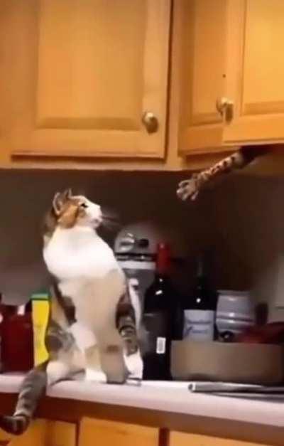 Catculating Reachability