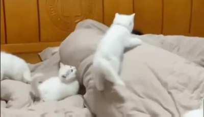 When they find out I make a mean breakfast.