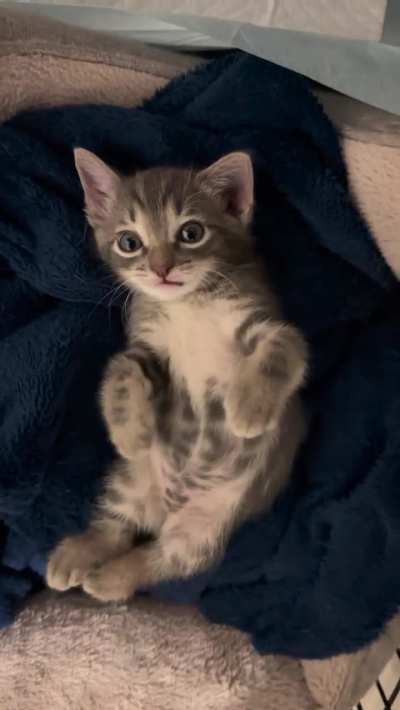 Growing up is hard. Signed, Echo.