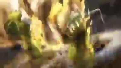 olha o rolo compresso