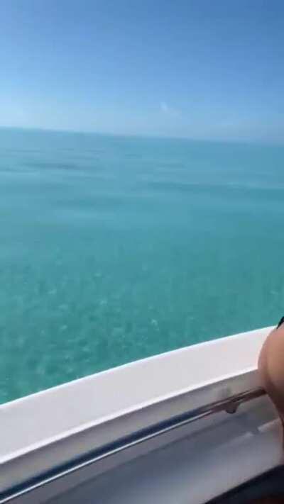 Put this one in slow mo