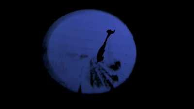 LET GO - Autotune + Added Echo & Reverb (DONDA 2020)