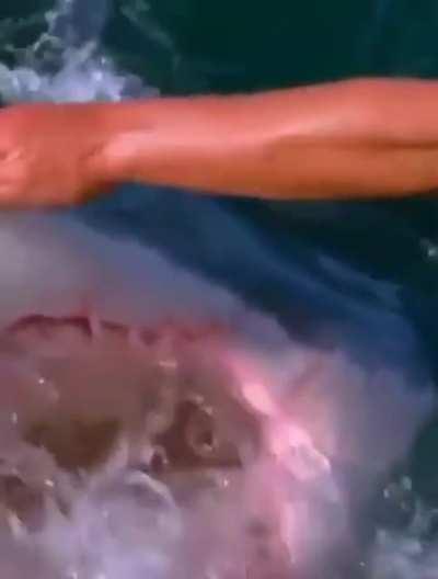 На приёме у дантиста...