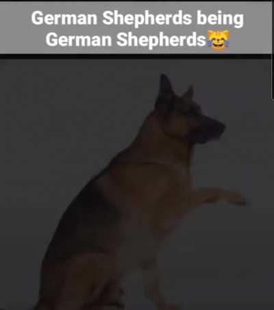 Awww Brine's two favourite things ð