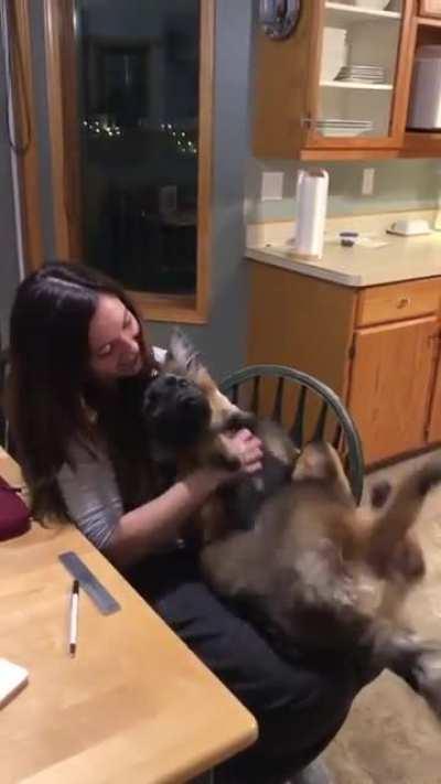 Just a good boy doing his leg training