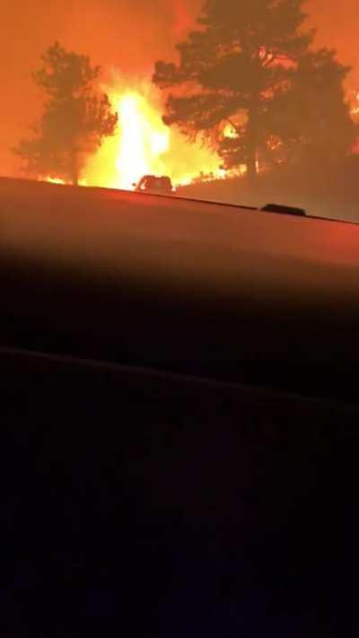 ...Waiting for the evacuation order to be mandated?