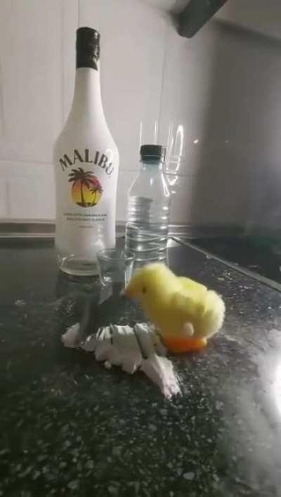 Duck knows whats the deal