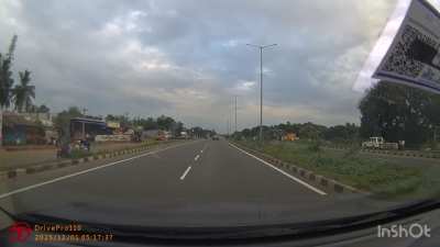 Cows are menace on the road. Near Miss!