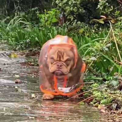 Maddie’s not loving her rain coat
