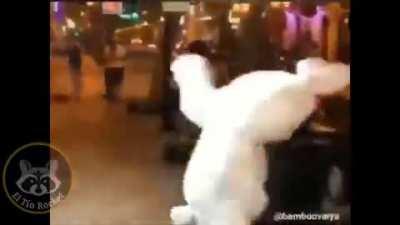 Just a normal rabbit