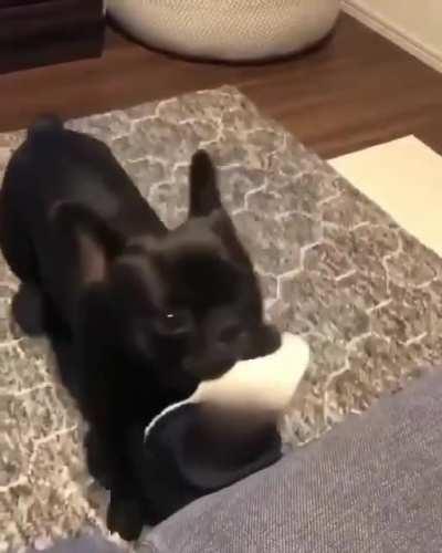 Let’s go to the park